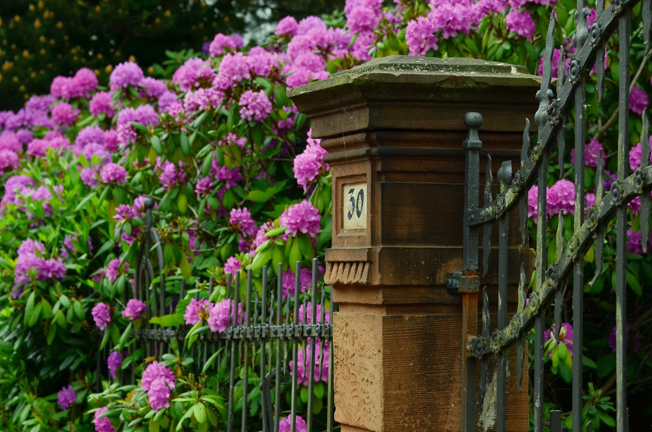 Rhododendronparkfest Graal-Müritz Rhododendronparkfest Graal-Müritz
